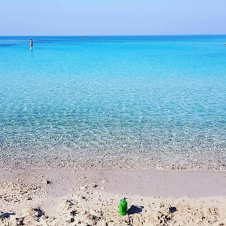 Paradiso
