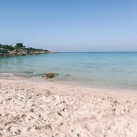 Paradiso * Mali Drvenik